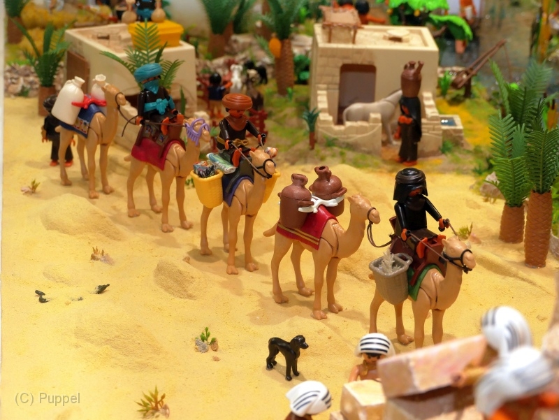 T120 egyp-P2580878.JPG